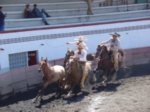A charro about to attempt the "Pass of Death."